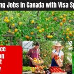 Fruit Picker Jobs in Canada – Earn Up to $40/Hour + Free Accommodation!